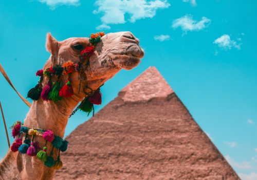 اسعار تذاكر الطيران الى مصر من الكويت