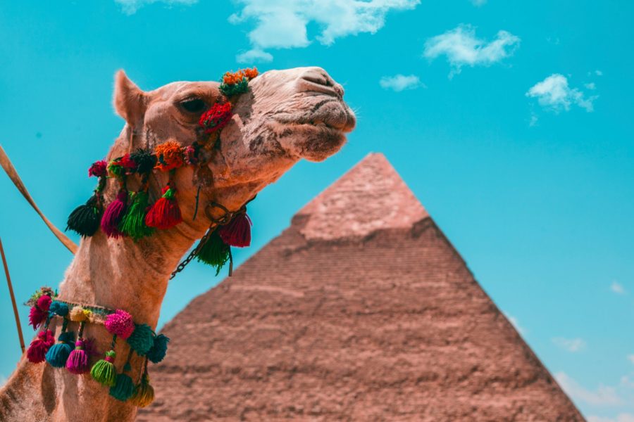 اسعار تذاكر الطيران الى مصر من الكويت