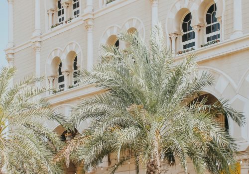 pexels-tate-872032140-19778337 رحلات ترفيهية الكويت