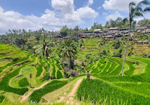 اماكن سياحية فى اندونيسيا