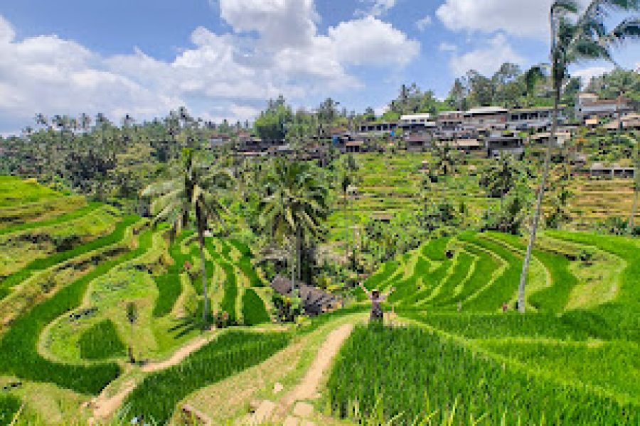 اماكن سياحية فى اندونيسيا